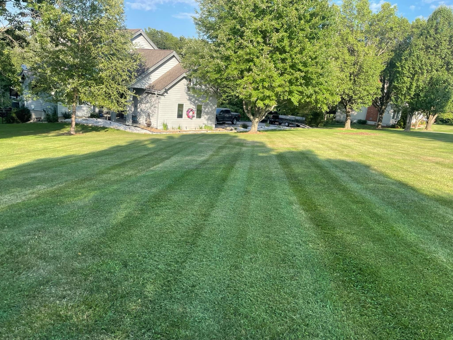 Professional lawn care