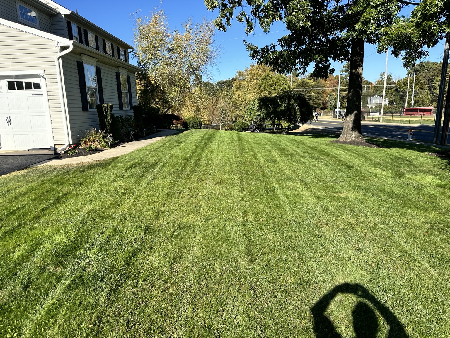 Freshly maintained lawn