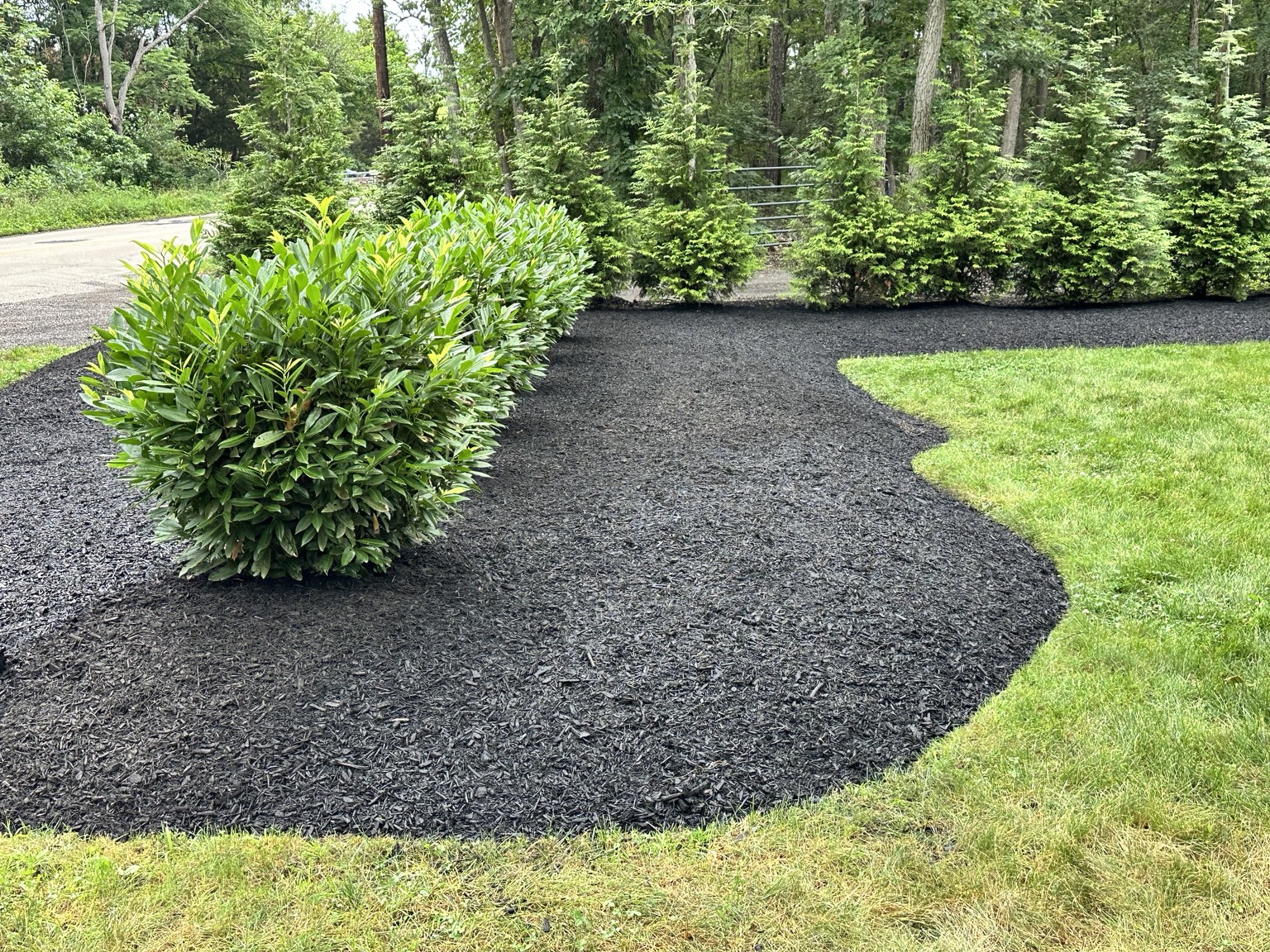 Fresh black mulch installation