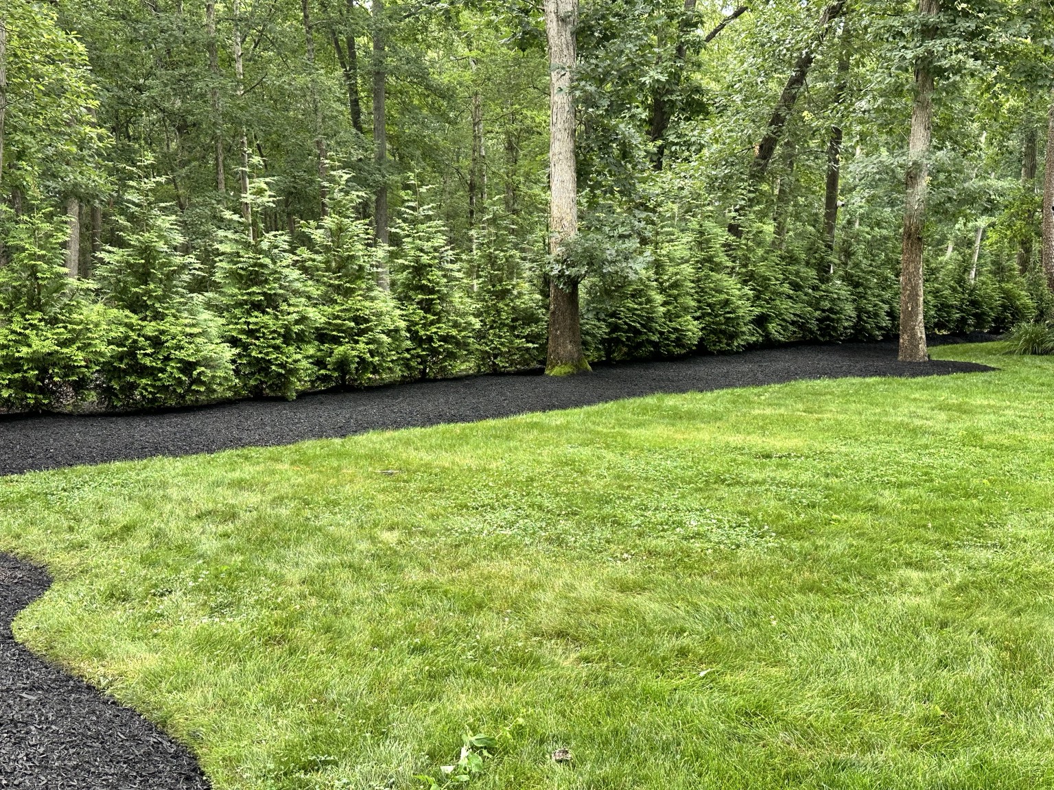 Mulched landscape beds and lawn