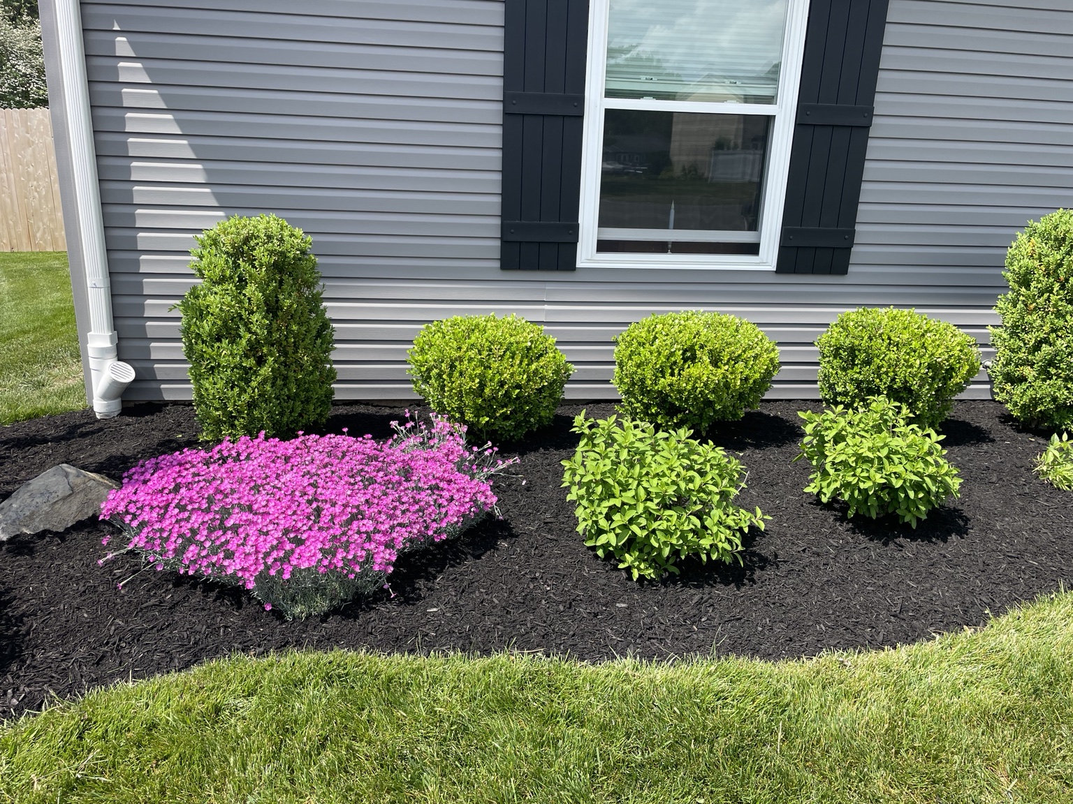 Mulch bed with pink flowers and trimmed shrubs