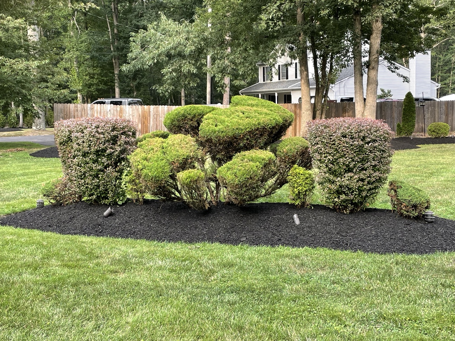 Mulch and shrub landscaping